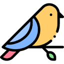 IP LARK